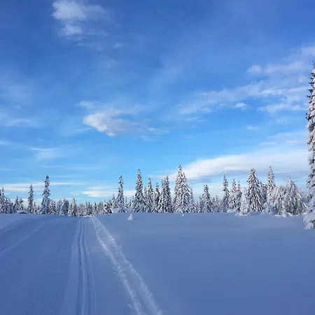 Amazing In With Sauna 別荘 *