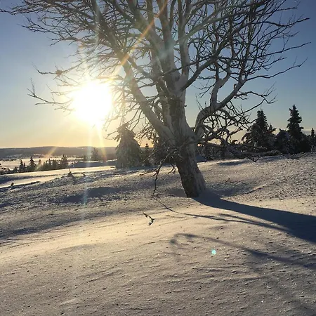 Amazing In With Sauna 別荘