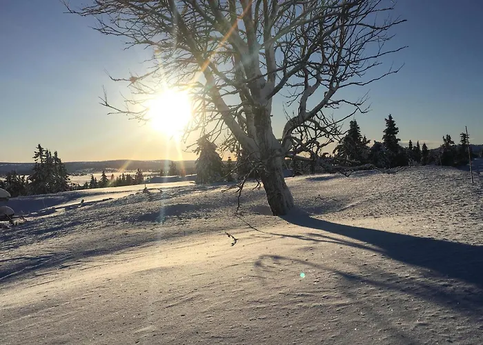 Amazing In With Sauna Дом отдыха